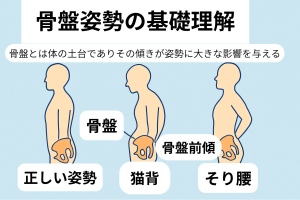 骨盤姿勢の基礎理解