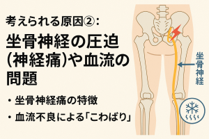 坐骨神経痛と血流不良