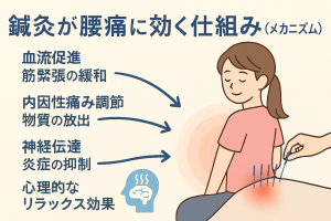 ChatGPT Image 2025年9月21日 19_15_14