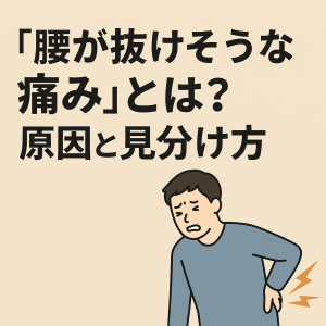 ef453c6c-b4e1-465d-a948-6612031b83b2