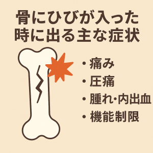 ChatGPT Image 2025年11月2日 01_04_02